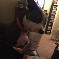 Ernest Gonzales Photo 27