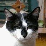 Julie Guzman Photo 17