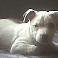 Julie Slater Photo 18