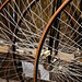 Gary Baumann Photo 31