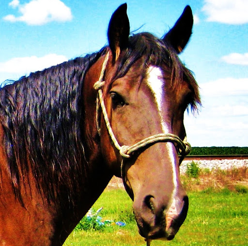 Stacy Miller Photo 36 Stacy Miller Photo 36