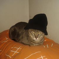 Adelina Ruiz Photo 26