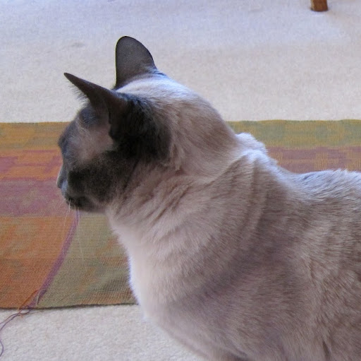 Lynne Schneider Photo 30