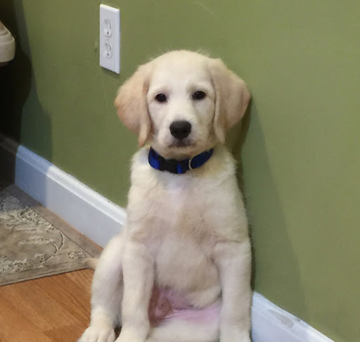 Robert Crews Photo 21