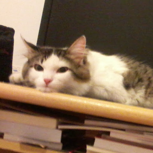 Vanessa Lucas Photo 18