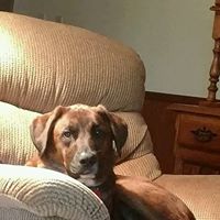 Cheryl Bjork Photo 5