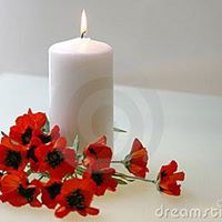 Tracy Archer Photo 11