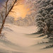 Barbara Furlong Photo 8