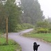John Crossen Photo 12