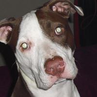 Danielle Bowles Photo 16