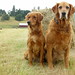 Brandy Hunt Photo 33