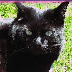 Anita Donovan Photo 11