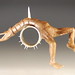 Jennifer Culp Photo 33