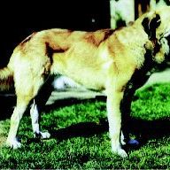 Julie Ferrara Photo 14