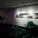 David Waddell Photo 22