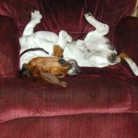 Frank Engle Photo 10