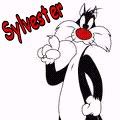 Kenny Sylvester Photo 19