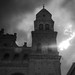 Miguel Alfaro Photo 10