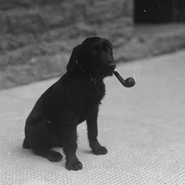 George Callaghan Photo 19