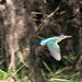 Carlos Alcedo Photo 17