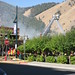 Connie Burns Photo 22