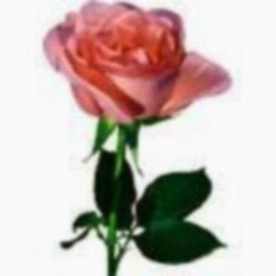 Kathy Jensen Photo 16