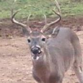 David Gantt Photo 15