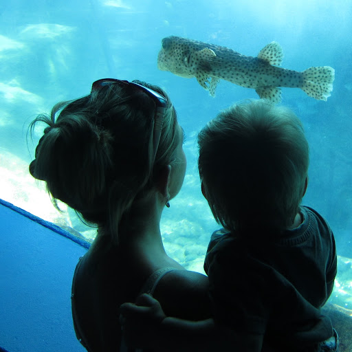 Holly Payne Photo 25