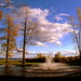 Judi Parks Photo 14