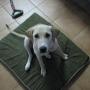 Bruce May Photo 27