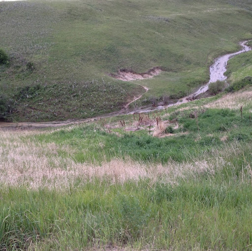 Connie Tremblay Photo 10