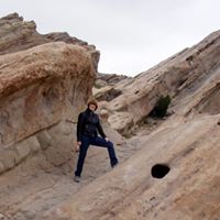 Carole Sheffield Photo 1