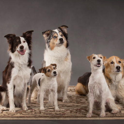 Nancy Thornton Photo 34