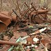 Rusty Trout Photo 11
