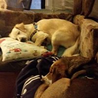 Bryan Wagner Photo 46 Bryan Wagner Photo 46