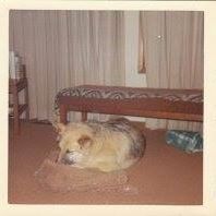 Evelyn Downey Photo 12