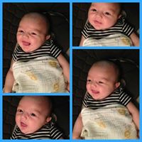 Dominick Rose Photo 15