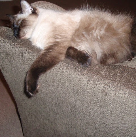 Erica Higgins Photo 35