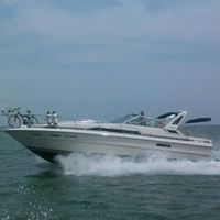 Tom Wolfe Photo 21 Tom Wolfe Photo 21