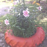 Robin Stark Photo 16 Robin Stark Photo 16