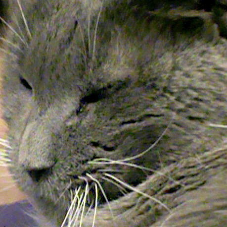 James Samuels Photo 16