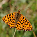 Debra Dias Photo 17