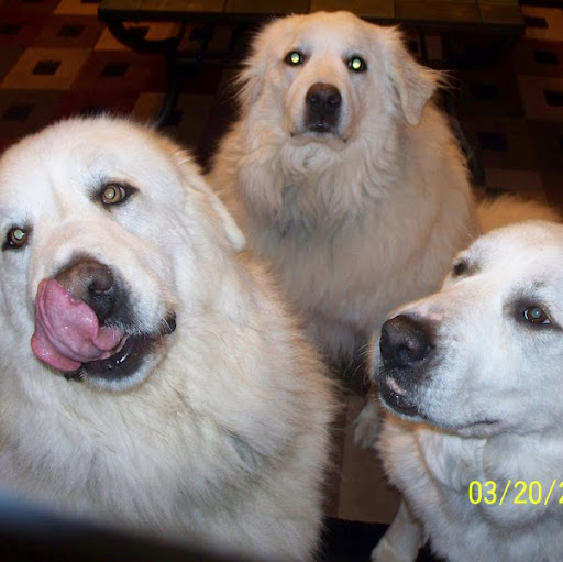 Brenda Graves Photo 10