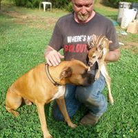 Stacy Hedrick Photo 8