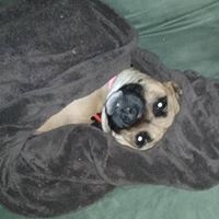 Jennifer Kessler Photo 24