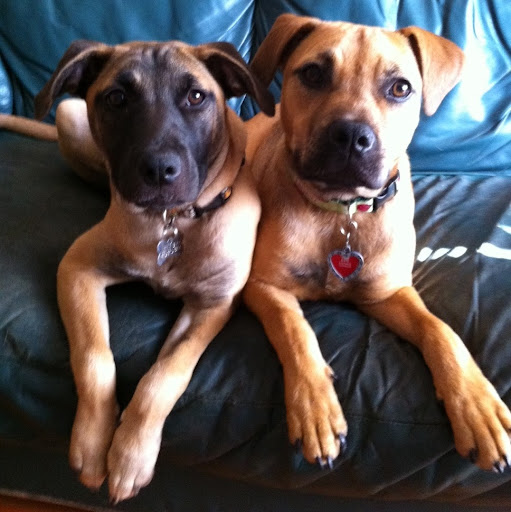 Victoria Wang Photo 9