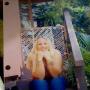 Sherry Langley Photo 11