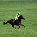 Michele Worthington Photo 5