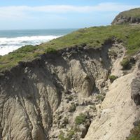 Susan Mahler Photo 18