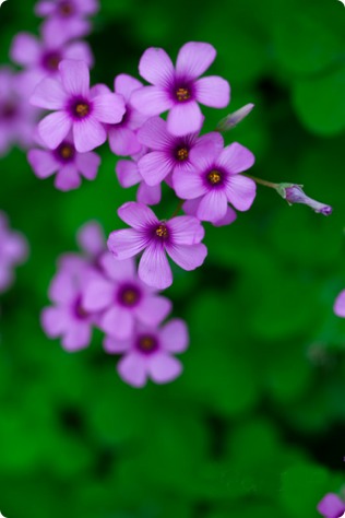 Becky Jackson Photo 10